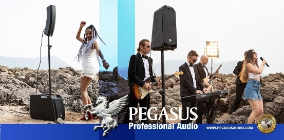 中国专业音响发展之路 看PEGASUS帕格索斯如何破局?开云体育 开云平台