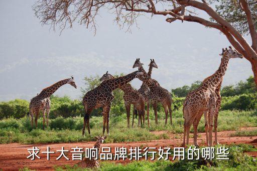 音箱十大品牌排名音响品牌排行榜(图2)