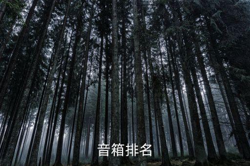 音箱十大品牌排名音响品牌排行榜(图3)