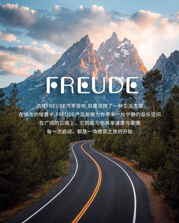 开云APP 开云官网入口FREUDE弗莱德汽车音响：探索FREUDE DSP系列开启感官之旅(图6)